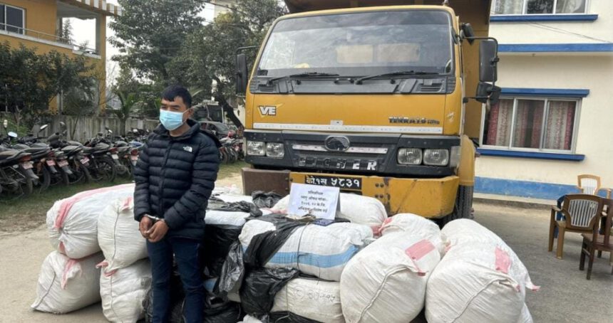 १० क्विन्टल ६ किलो लागुऔषध गाँजासहित एक जना पुरुष पक्राउ